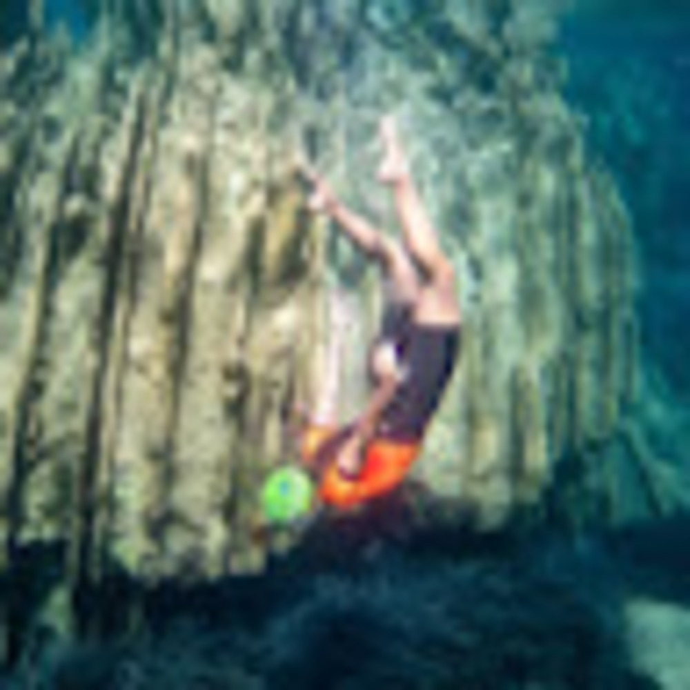 Meet your Posher, Alina